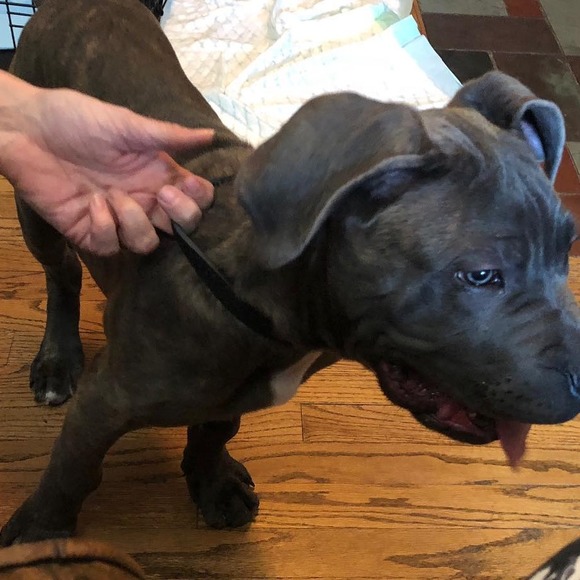 Meet your Posher, Roger - Picture 1 of 1